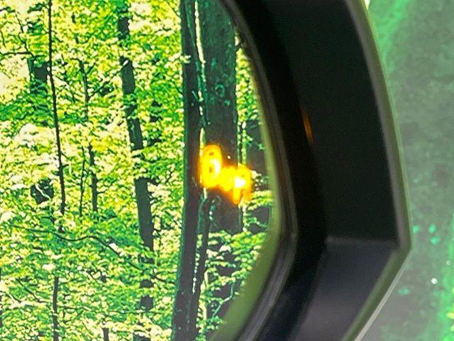 ヴェルファイアハイブリッド（新潟県長岡市）