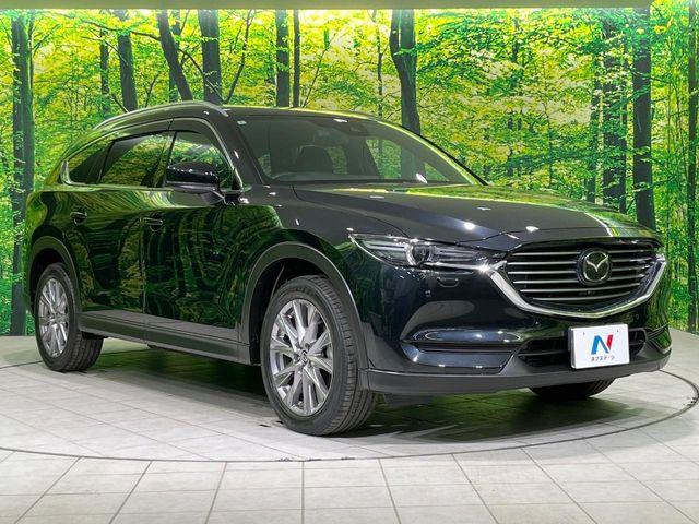 CX-8(新潟県長岡市)