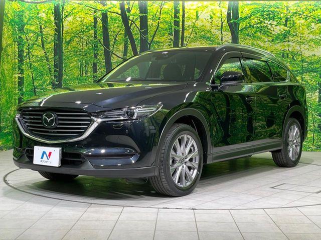 CX-8(新潟県長岡市)