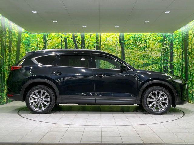 CX-8(新潟県長岡市)