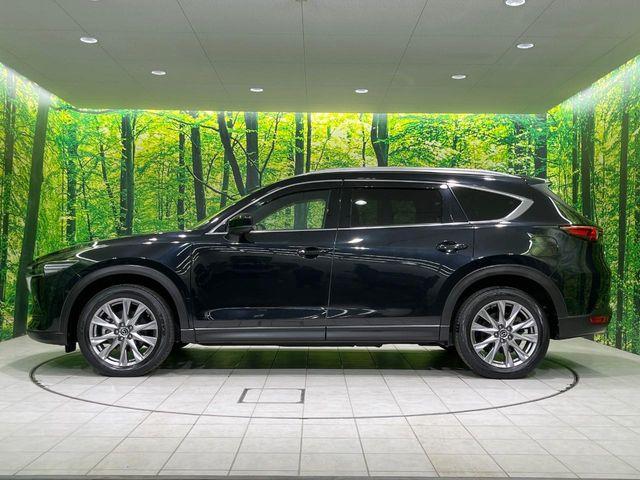 CX-8(新潟県長岡市)