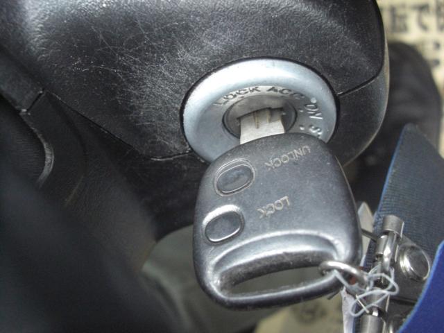 テリオスキッド（新潟県新潟市江南区）画像19