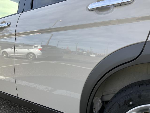 アルトラパン（新潟県新潟市西蒲区）画像36