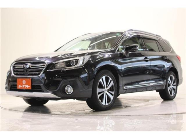 アウトバック（新潟県新潟市東区）画像10