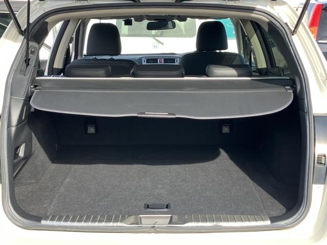 アウトバック（新潟県新潟市南区）画像51