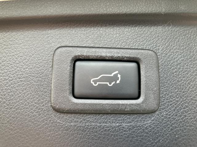 アウトバック（新潟県新潟市南区）画像54