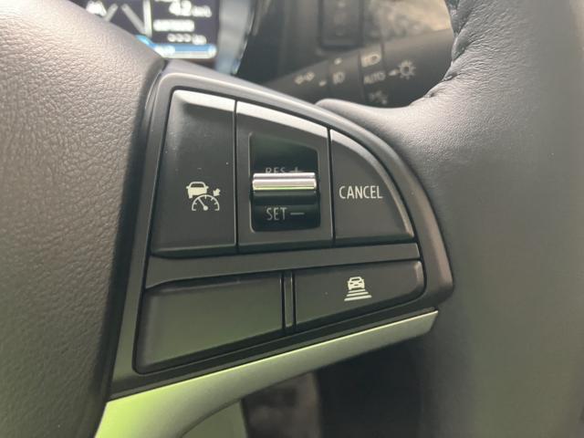 ハスラー（新潟県新潟市西蒲区）