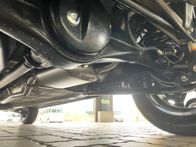 ハスラー（新潟県新潟市西蒲区）