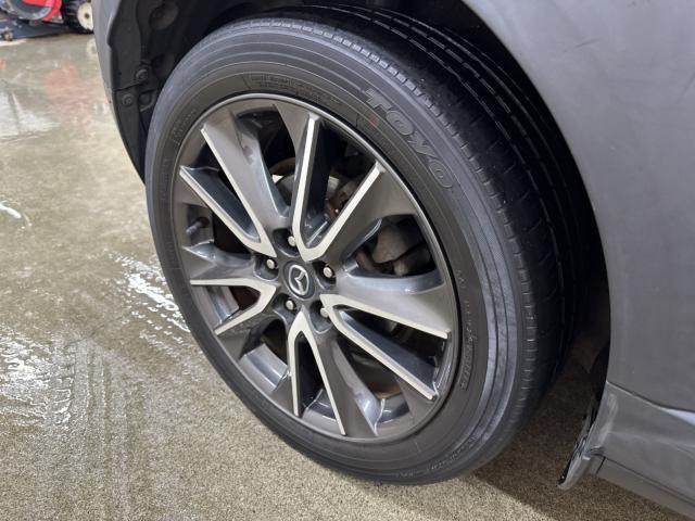 CX-3（新潟県長岡市）