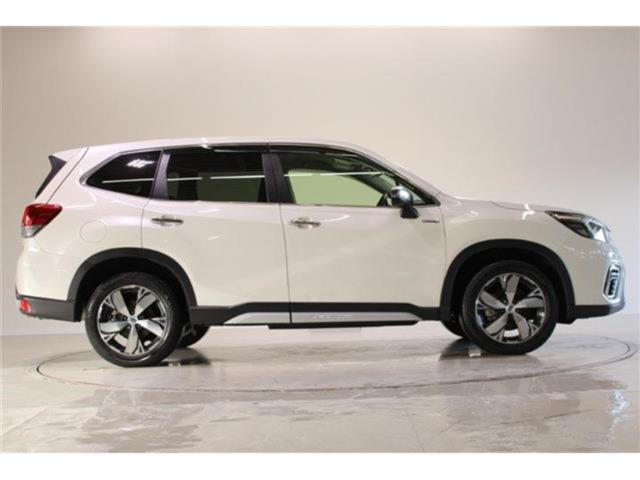 フォレスター（新潟県新潟市東区）画像14