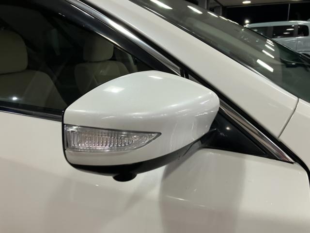 ティアナ（新潟県新潟市西蒲区）