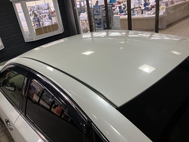 ティアナ（新潟県新潟市西蒲区）