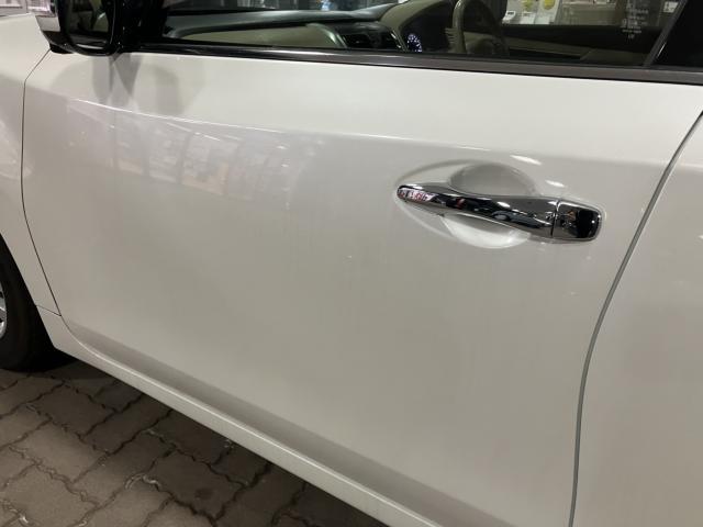 ティアナ（新潟県新潟市西蒲区）