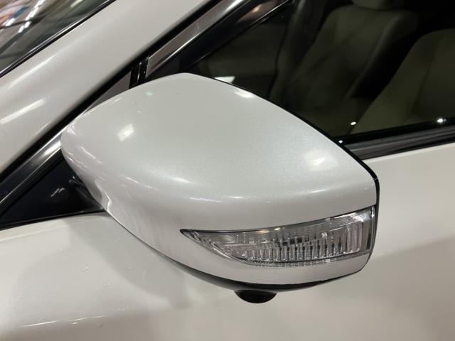 ティアナ（新潟県新潟市西蒲区）