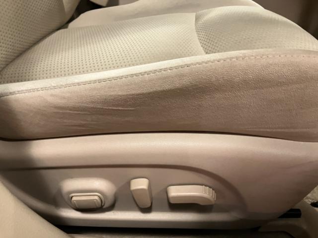 ティアナ（新潟県新潟市西蒲区）