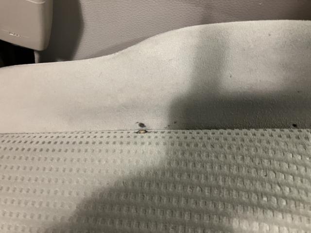 ティアナ（新潟県新潟市西蒲区）