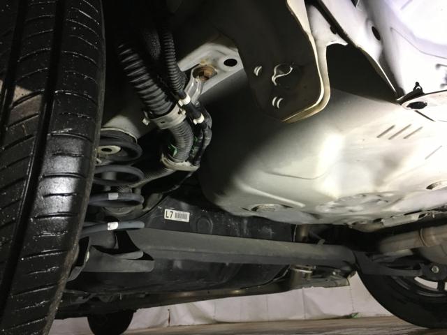 ポルテ（新潟県新潟市西区）画像40