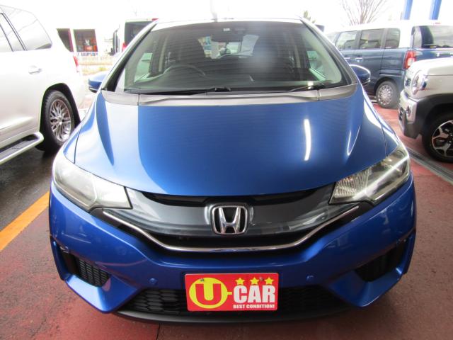 フィット（新潟県糸魚川市）