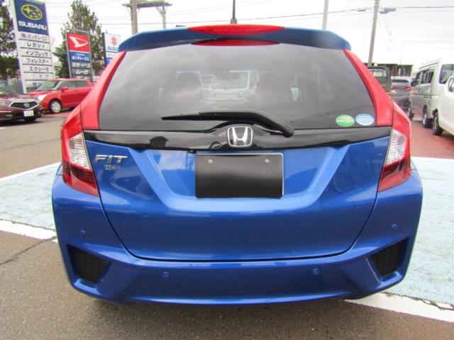 フィット（新潟県糸魚川市）