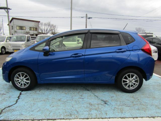 フィット（新潟県糸魚川市）