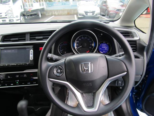 フィット（新潟県糸魚川市）