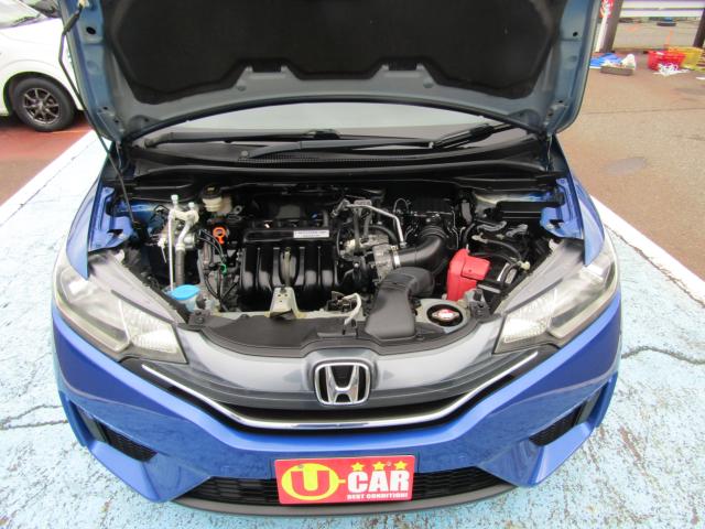 フィット（新潟県糸魚川市）