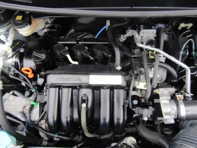 フィット（新潟県糸魚川市）