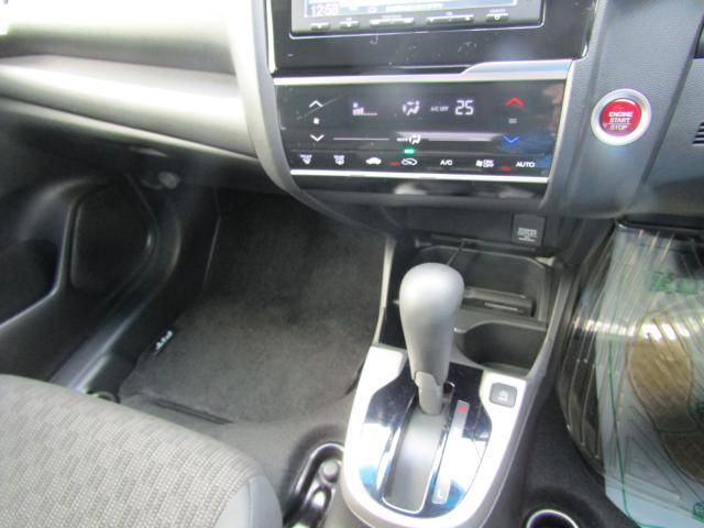 フィット（新潟県糸魚川市）