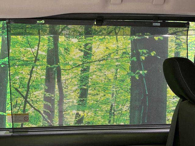 セレナ（新潟県長岡市）画像41