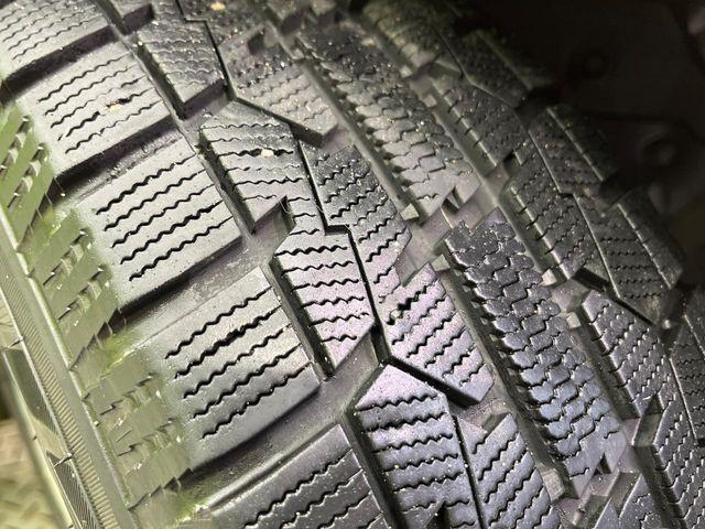 ラフェスタ（新潟県新潟市南区）