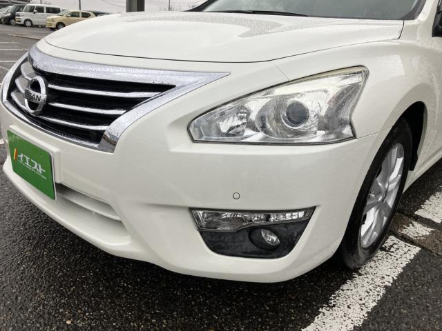 ティアナ（新潟県新潟市西蒲区）画像9