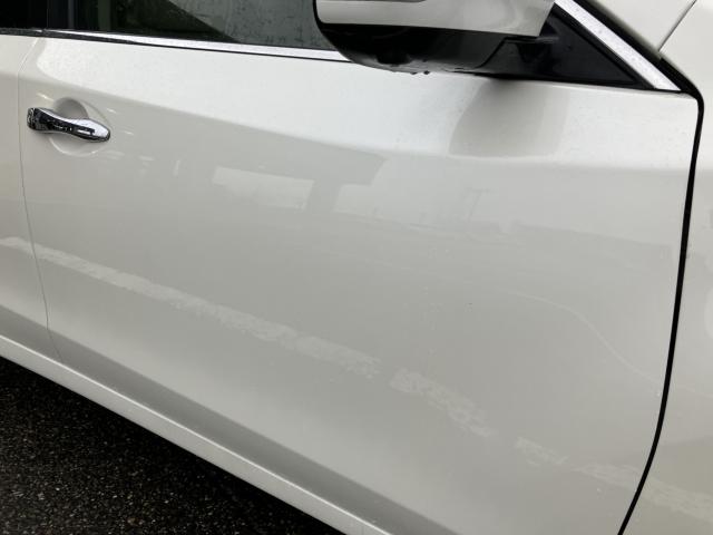 ティアナ（新潟県新潟市西蒲区）画像14