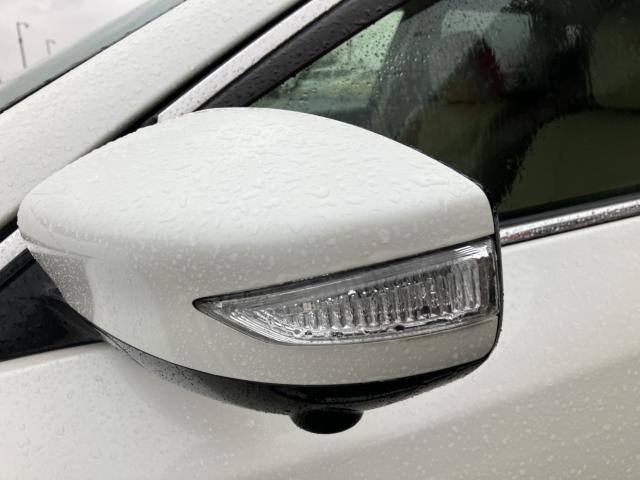 ティアナ（新潟県新潟市西蒲区）画像27