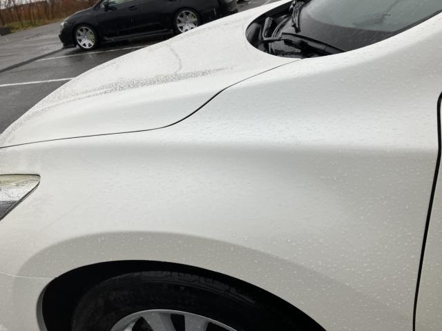 ティアナ（新潟県新潟市西蒲区）画像26