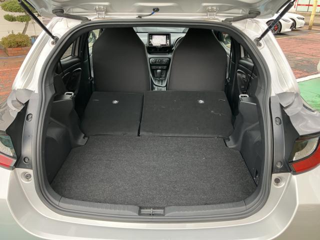 ヤリス（新潟県長岡市）