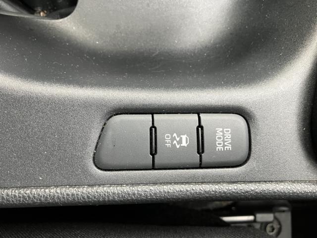 ヤリス（新潟県長岡市）