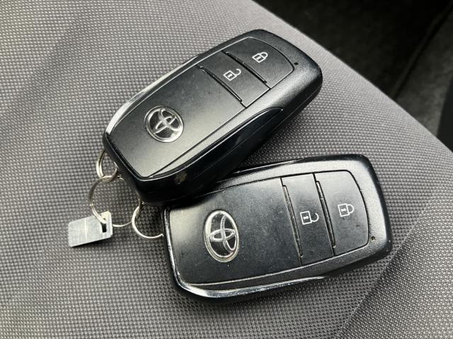 ヤリス（新潟県長岡市）