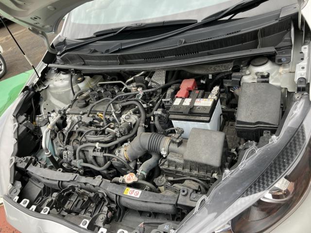 ヤリス（新潟県長岡市）