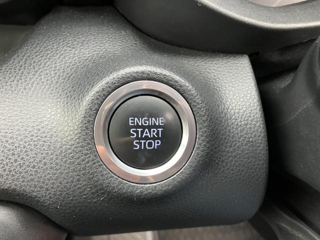 ヤリス（新潟県長岡市）