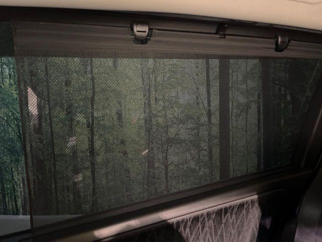 オデッセイ（新潟県新潟市南区）画像63