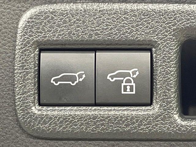 ハリアー（新潟県長岡市）画像41