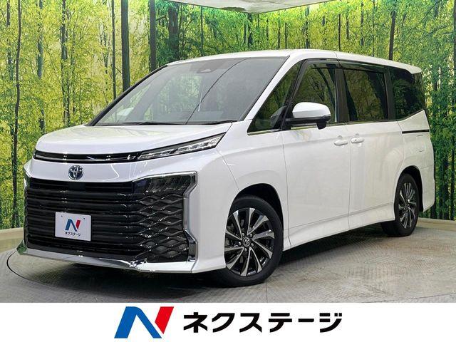 ヴォクシー（新潟県新潟市南区）