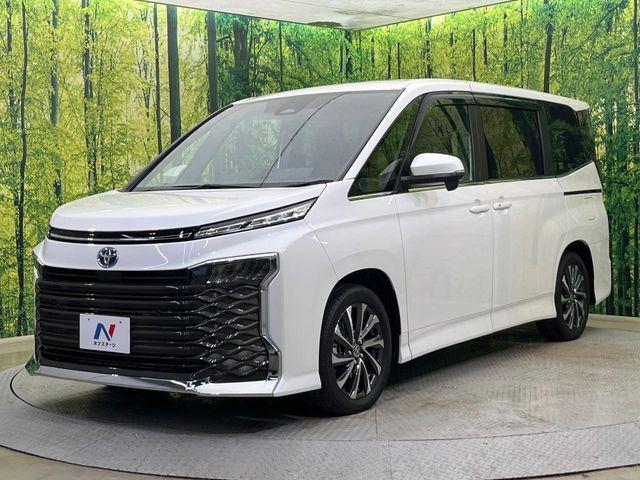 ヴォクシー（新潟県新潟市南区）