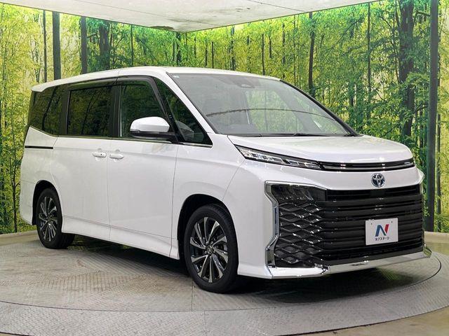 ヴォクシー（新潟県新潟市南区）