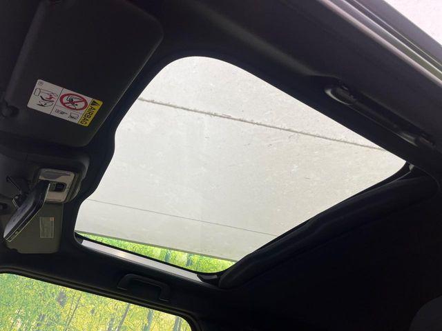 タフト（新潟県新潟市南区）画像3