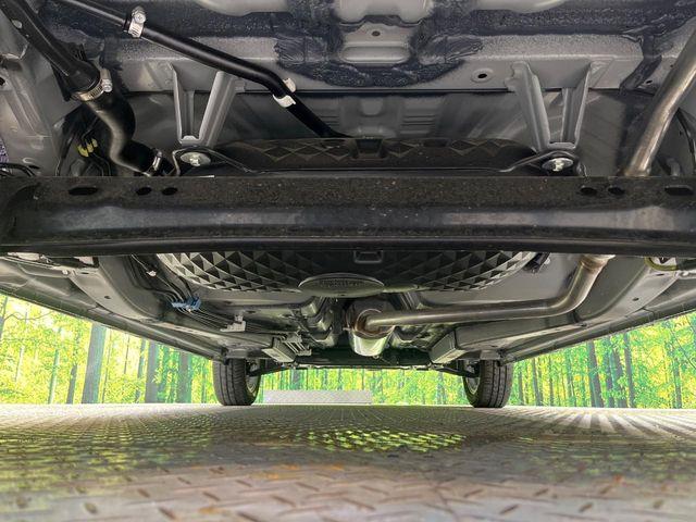 タフト（新潟県新潟市南区）画像19