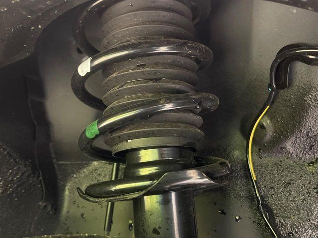 タフト（新潟県新潟市南区）画像24