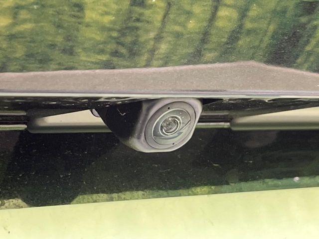 タフト（新潟県新潟市南区）画像59