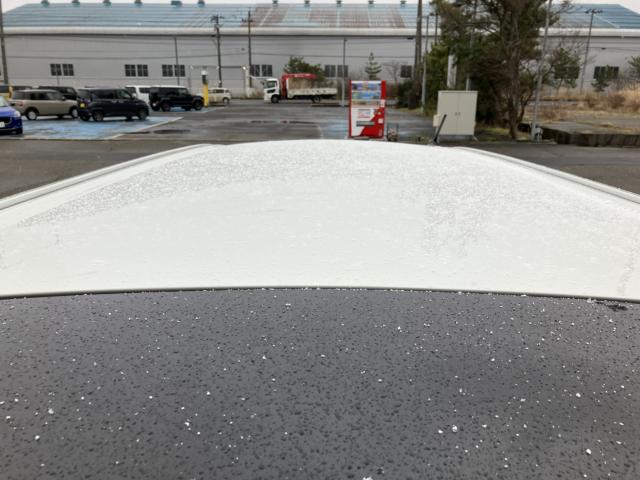 タント（新潟県新潟市西蒲区）画像30