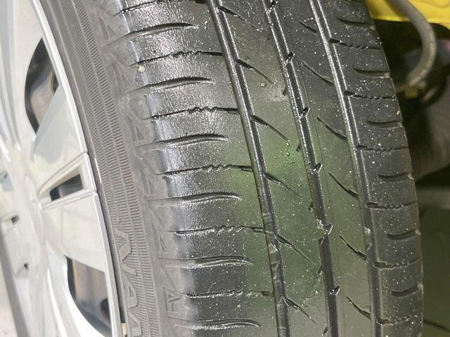 タント（新潟県長岡市）